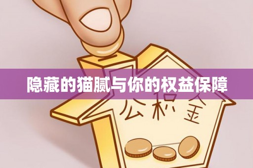 敖汉旗隐藏的猫腻与你的权益保障